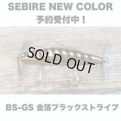 画像1: Line Slack ラインスラック SEBIRE セビレ BS-GS