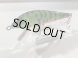 HEDDON SPOOK Tiger GR