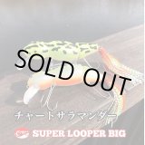 画像: Line Slack ラインスラック SUPER LOOPER BIG スーパールーパービッグ 