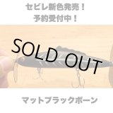 画像: Line Slack ラインスラック SEBIRE セビレ MBKB