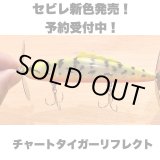 画像: Line Slack ラインスラック SEBIRE セビレ CTG-RR