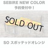 画像: Line Slack ラインスラック SEBIRE セビレ SO