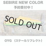 画像: Line Slack ラインスラック SEBIRE セビレ OYG