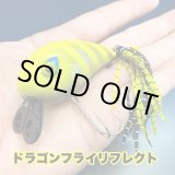 画像: Line Slack ラインスラック BallsacWake ボールサックウェイク W-DF-713R