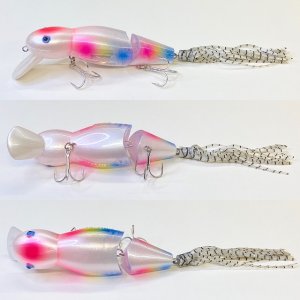 画像: Line Slack ラインスラック SUPER LOOPER10 スーパールーパー10 CC-C